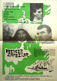 Plakat filmu Vremea zapezilor