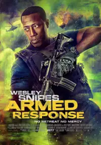 Plakat filmu Zbrojna odpowiedź
