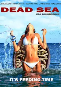 Plakat filmu Dead Sea