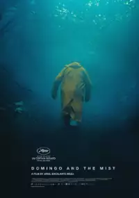 Plakat filmu Domingo y la niebla