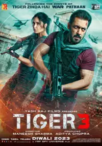 Plakat filmu Tiger 3