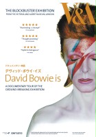 plakat filmu David Bowie Is Happening Now