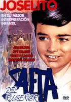 Camilo Murillo / Saeta del ruise&ntilde;or