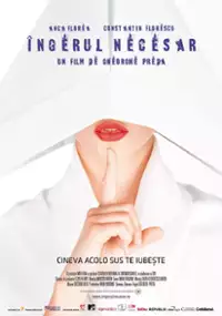 Plakat filmu Ingerul necesar