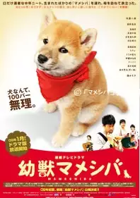 plakat filmu Yoju: Mame shiba