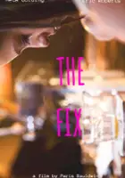 plakat filmu The Fix