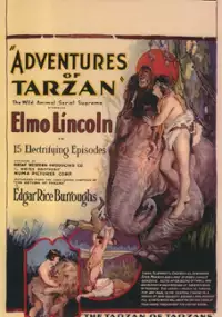 Plakat filmu Przygoda Tarzana