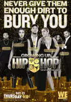 plakat - Growing Up Hip Hop (2016)