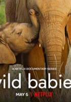 plakat filmu Dzieci dzikich zwierząt