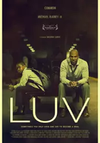 Plakat filmu LUV
