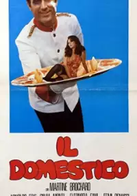 Plakat filmu Il domestico