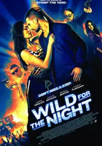 Plakat filmu Wild for the Night