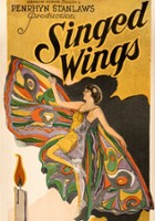 plakat filmu Singed Wings