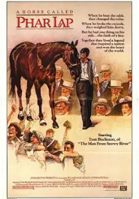 Plakat filmu Cudowny koń