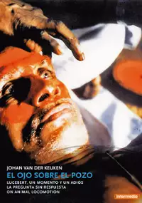 Plakat filmu Het oog boven de put