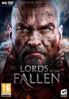 plakat gry Lords of the Fallen