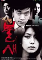 plakat serialu Bool-sae