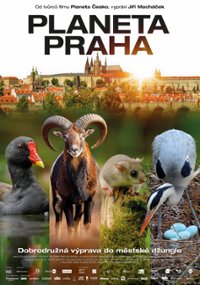Dzika Praga