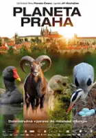 Robert Kirchhoff / Dzika Praga