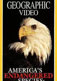 Plakat filmu America's Endangered Species: Don't Say Good-bye