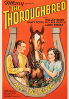 plakat filmu The Thoroughbred