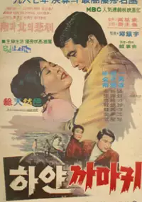 Plakat filmu Hayeon ggamagwi