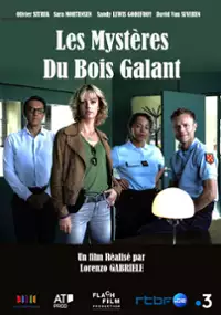 Plakat filmu Les myst&egrave;res du Bois Galant