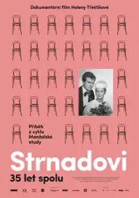 Plakat filmu Historia małżeńska