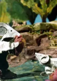 Plakat filmu Le Jardin d'Écos