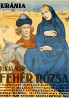 M&aacute;rton R&aacute;tkai / Fehér rózsa