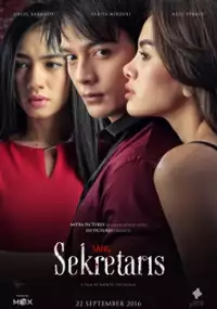 Plakat filmu Sang Sekretaris