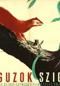Plakat filmu Monguzok szigete