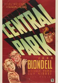 Plakat filmu Central Park
