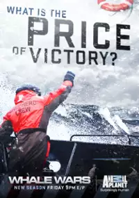 Plakat programu TV Wojny o wieloryby