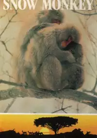 Plakat serialu Nature