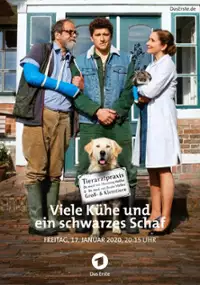 Plakat filmu Wiele krów i czarna owca