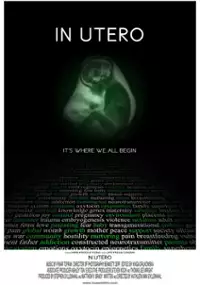 Plakat filmu W łonie matki