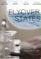 plakat filmu Flyover States