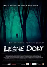 Plakat filmu Leśne Doły