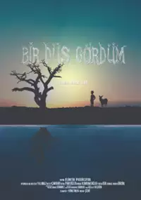 Plakat filmu Bir Düş Gördüm