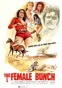 Plakat filmu The Female Bunch