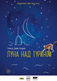 Plakat filmu La luna su Torino