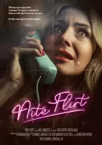 Plakat filmu Nite Flirt