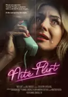 plakat filmu Nite Flirt
