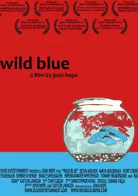 Plakat filmu Wild Blue
