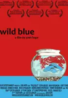Sarah Addison / Wild Blue