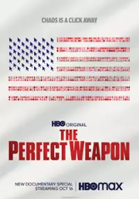 Plakat filmu Idealna broń