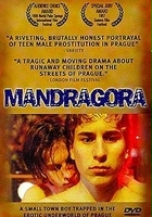 plakat filmu Mandragora