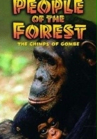plakat filmu People of the Forest: The Chimps of Gombe