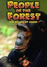 Plakat filmu People of the Forest: The Chimps of Gombe